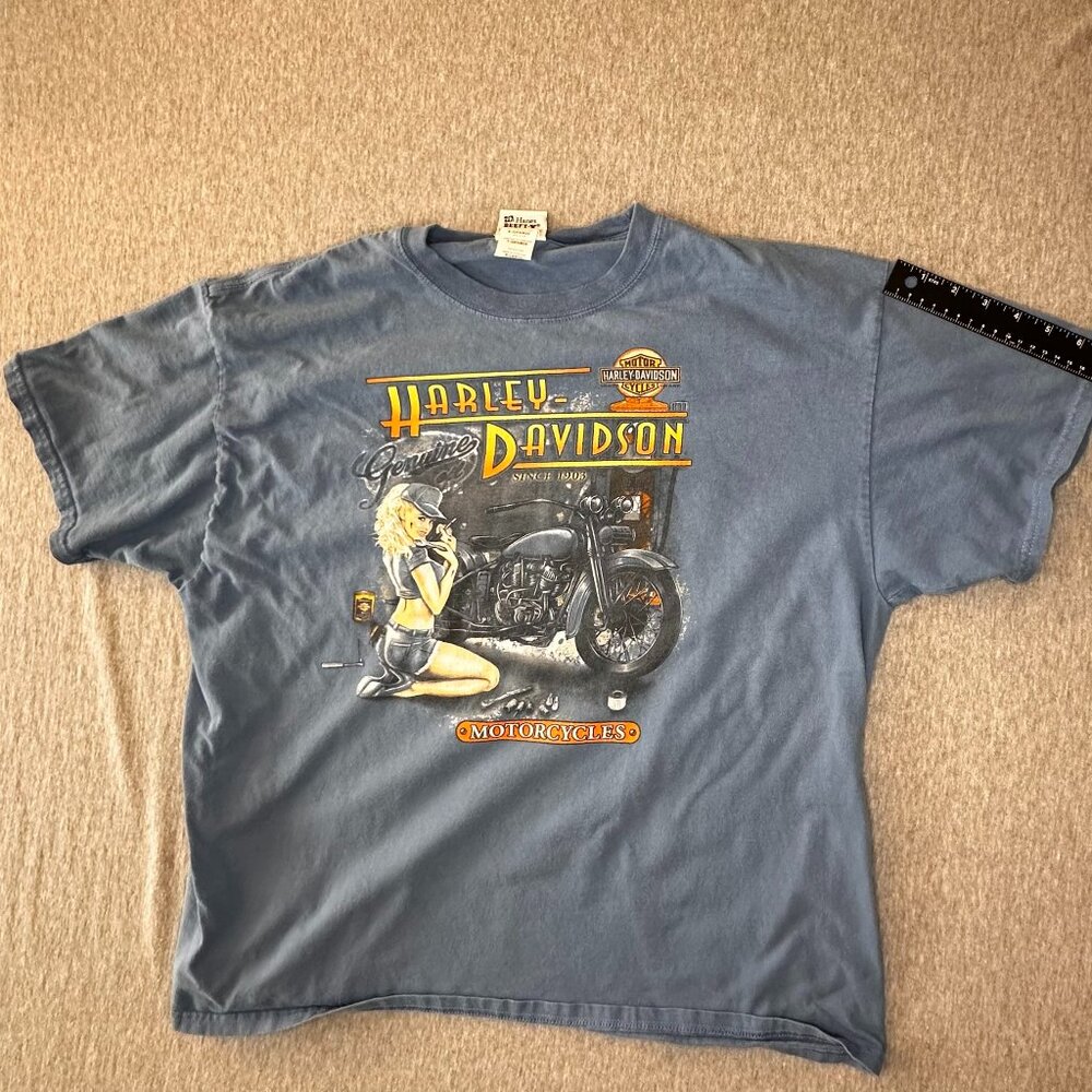 Hanes Harley Davidson T Shirt Mens Size XL Blue Graphic Print Short Sleeve
